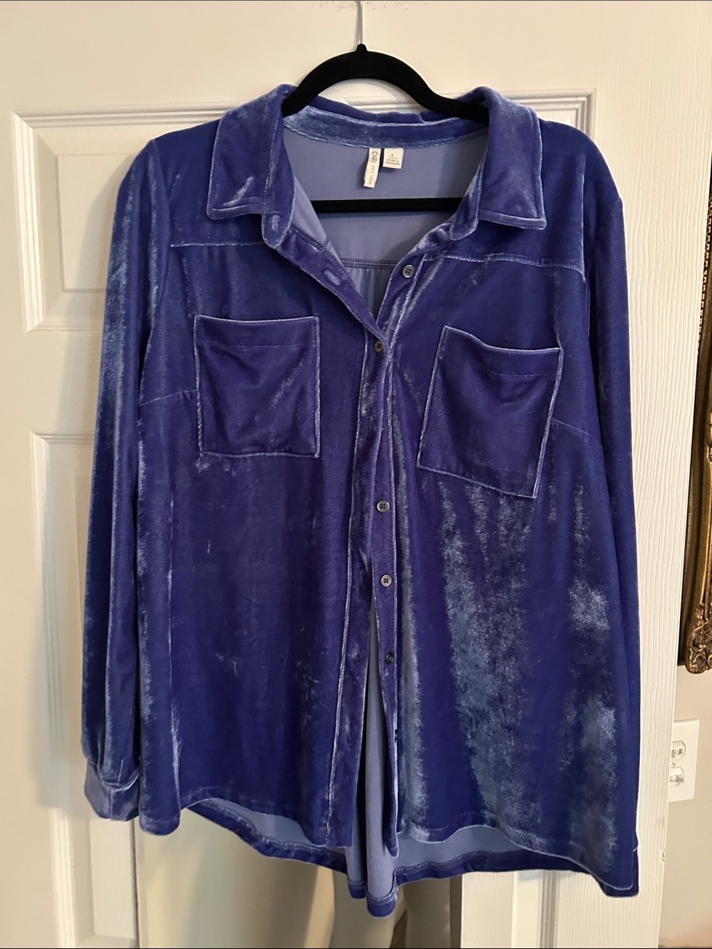 Cato Plush Button-Front Shirt - Purple velvet